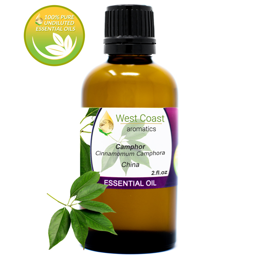 Essential-Oil_Camphor_China_2oz.jpg