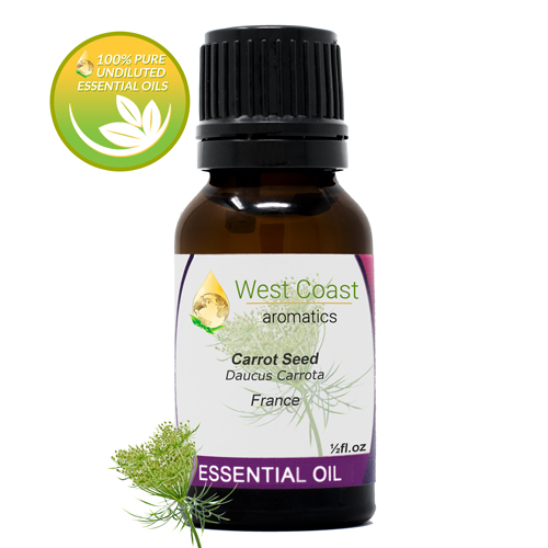 Essential-Oil_Carrot-Seed_France_1-2oz.jpg