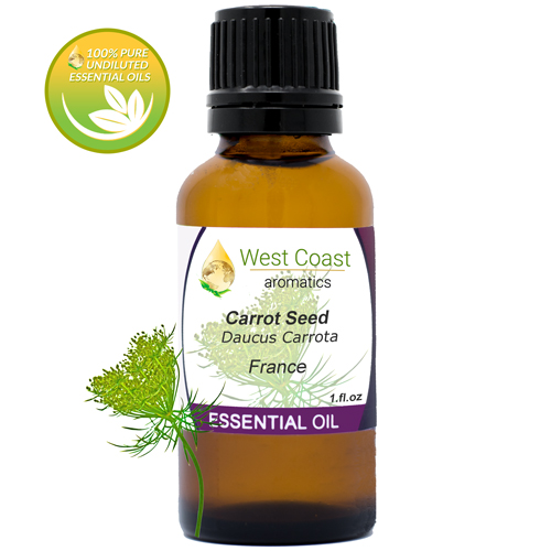 Essential-Oil_Carrot-Seed_France_1oz.jpg