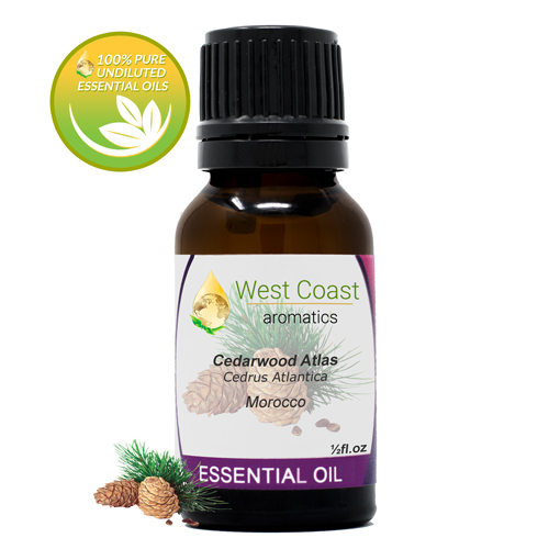 Essential-Oil_Cedarwood-Atlas_Morocco_1-2oz.jpg