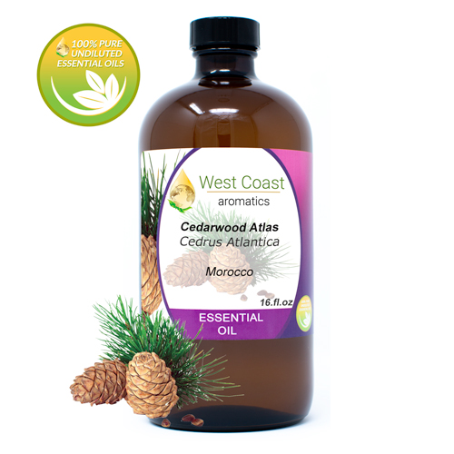 Essential-Oil_Cedarwood-Atlas_Morocco_16oz.jpg