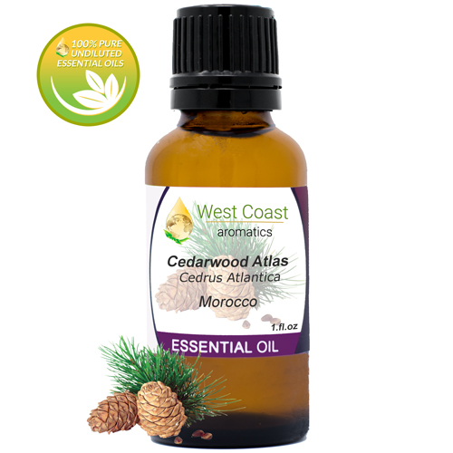 Essential-Oil_Cedarwood-Atlas_Morocco_1oz.jpg