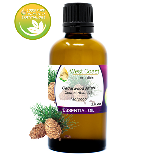 Essential-Oil_Cedarwood-Atlas_Morocco_2oz.jpg