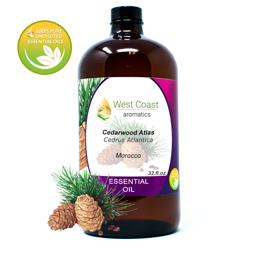 Essential-Oil_Cedarwood-Atlas_Morocco_32oz.jpg