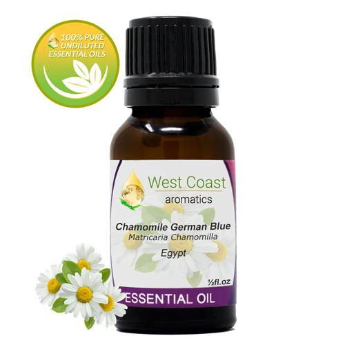 Chamomile German Blue (Egypt)