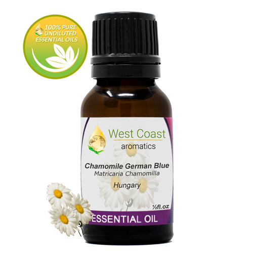 Chamomile German Blue (Nepal)