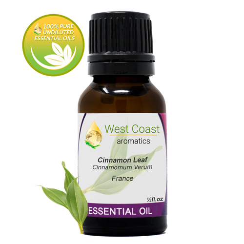 Essential-Oil_Cinnamon-Leaf_France_1-2oz.jpg