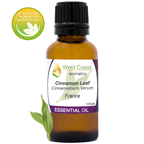 Essential-Oil_Cinnamon-Leaf_France_1oz.jpg