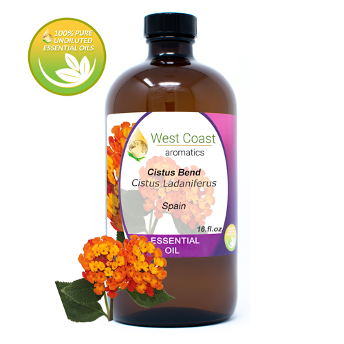 Essential-Oil_Cistus-Blend_Spain_16oz.jpg