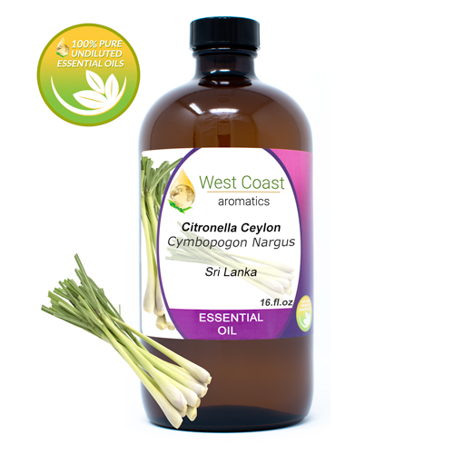 Essential-Oil_Citronella-Ceylon_Sri-Lanka_16oz.jpg