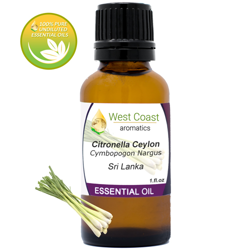 Essential-Oil_Citronella-Ceylon_Sri-Lanka_1oz.jpg