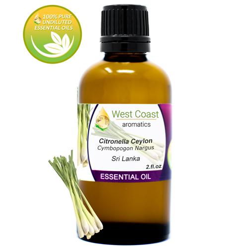 Essential-Oil_Citronella-Ceylon_Sri-Lanka_2oz.jpg