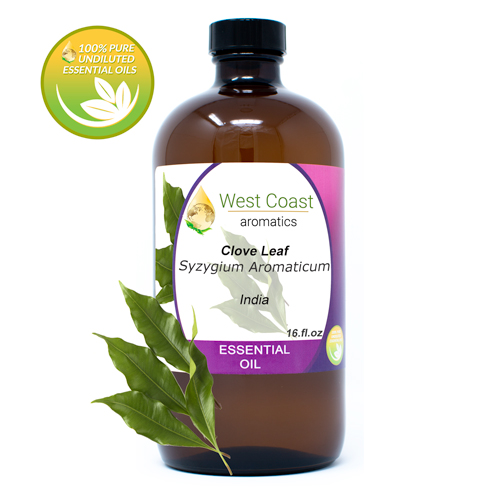 Essential-Oil_Clove-Leaf_India_16oz.jpg