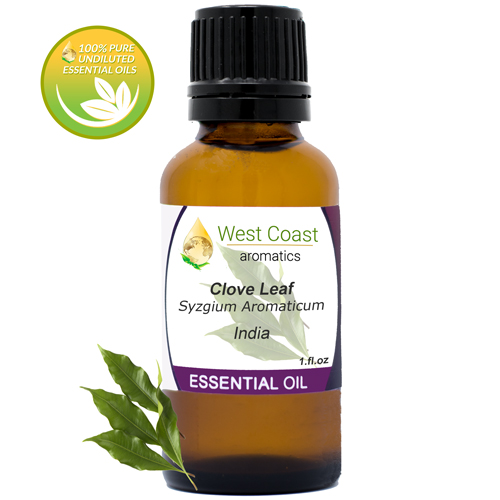 Essential-Oil_Clove-Leaf_India_1oz.jpg