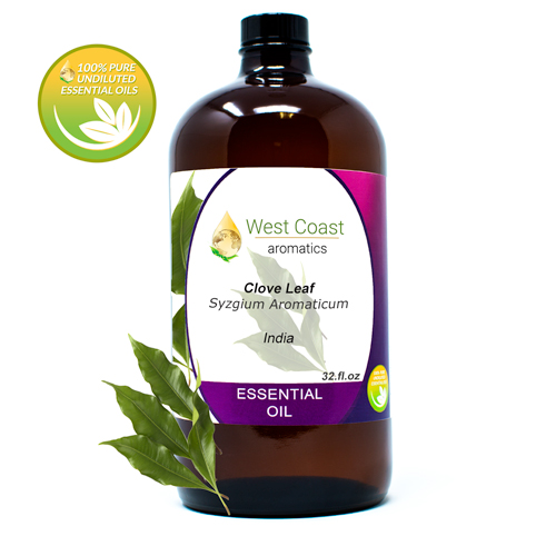 Essential-Oil_Clove-Leaf_India_32oz.jpg