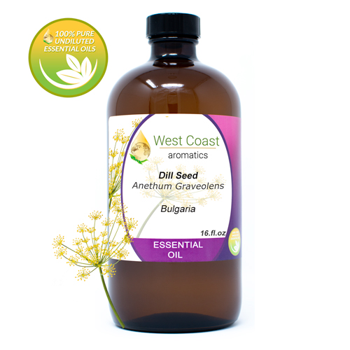 Essential-Oil_Dill-Seed_Bulgaria_16oz.jpg