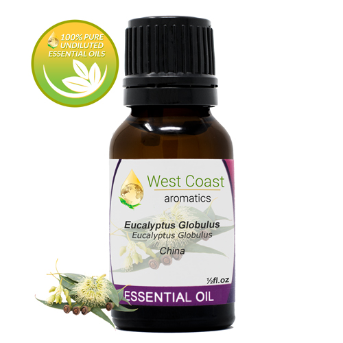 Essential-Oil_Eucalyptus-Globulus_China_1-2oz.jpg