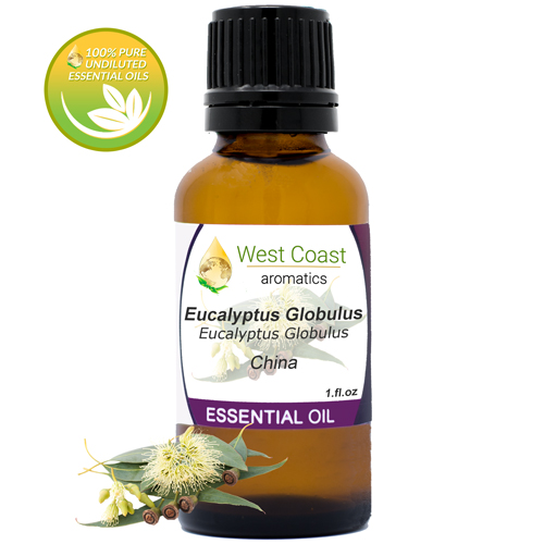 Essential-Oil_Eucalyptus-Globulus_China_1oz.jpg