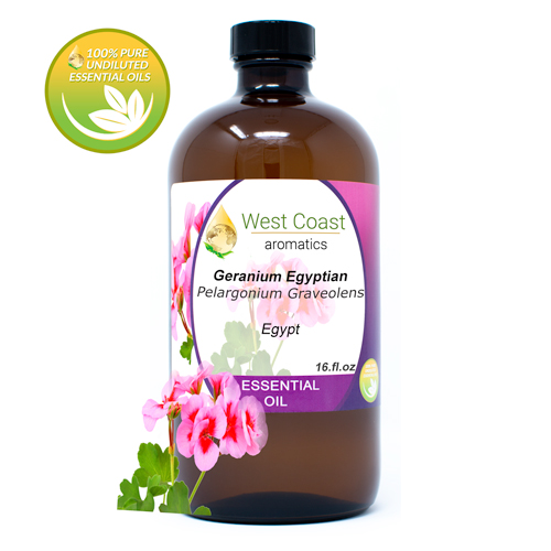 Essential-Oil_Geranium-Egyptian_Egypt_16oz.jpg