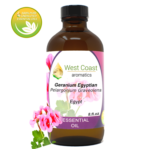 Essential-Oil_Geranium-Egyptian_Egypt_8oz.jpg