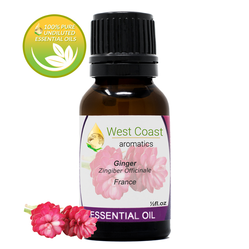 Essential-Oil_Ginger_France_1-2oz.jpg