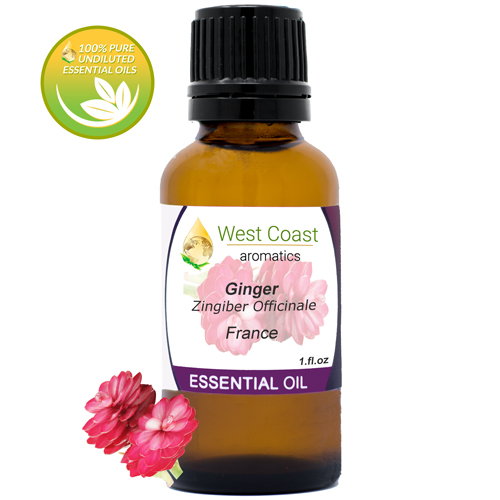 Essential-Oil_Ginger_France_1oz.jpg