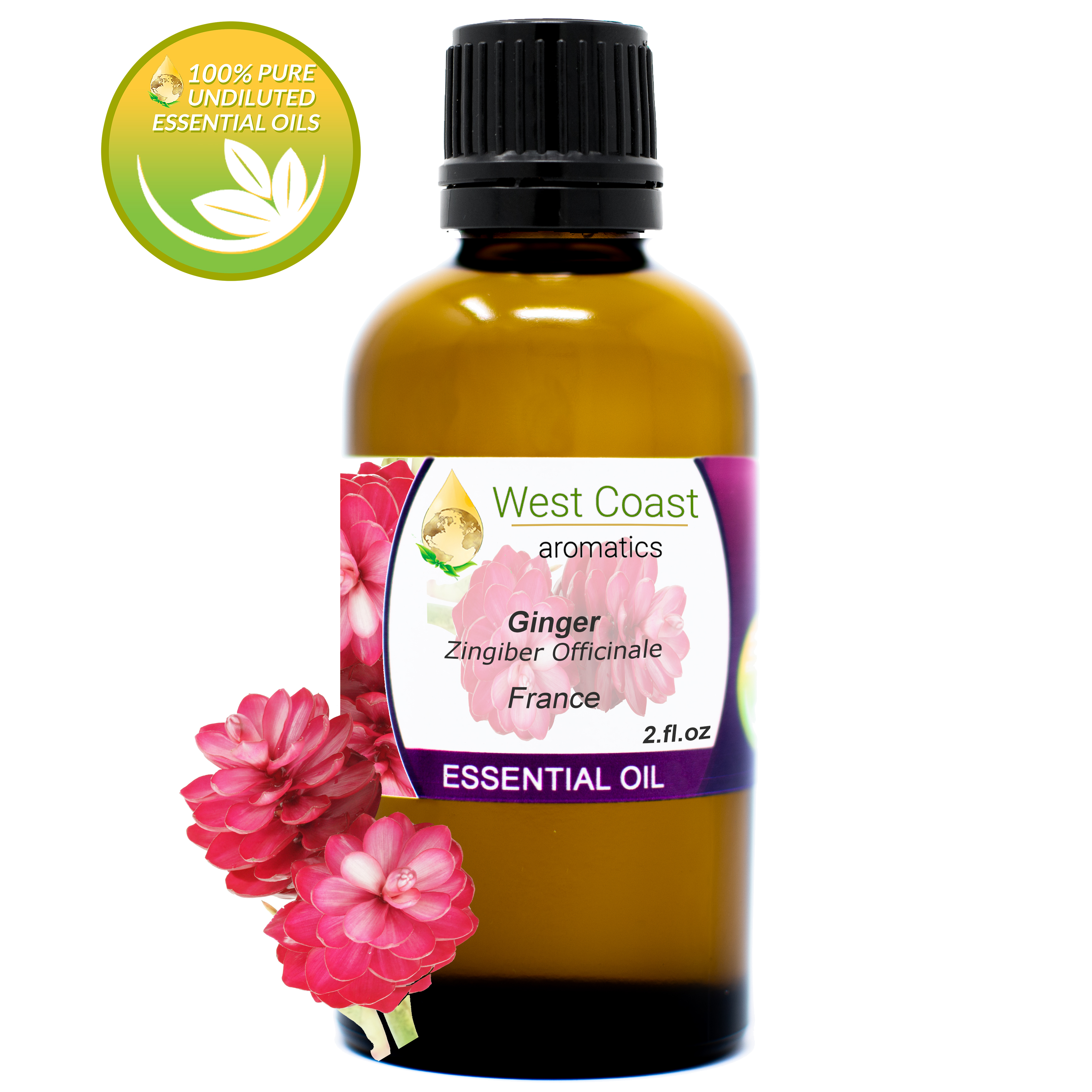 Essential-Oil_Ginger_France_2oz.jpg