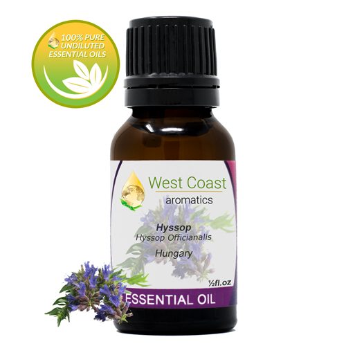 Essential-Oil_Hyssop_Hungary_1-2oz.jpg