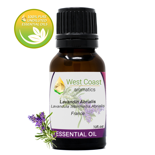 Essential-Oil_Lavandin-Abrialis_France_1-2oz.jpg