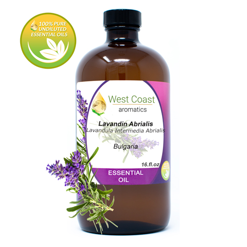 Essential-Oil_Lavandin-Abrialis_France_16oz.jpg