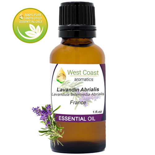 Essential-Oil_Lavandin-Abrialis_France_1oz.jpg