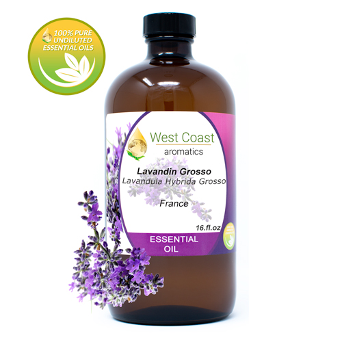 Essential-Oil_Lavandin-Grosso_France_16oz.jpg