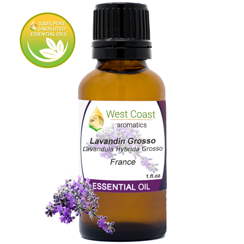 Essential-Oil_Lavandin-Grosso_France_1oz.jpg