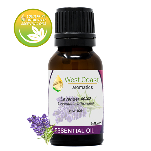 Essential-Oil_Lavender-40-42_France_1-2oz.jpg