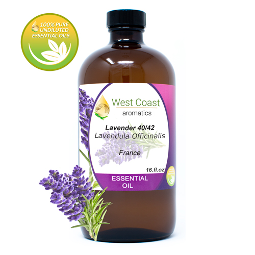 Essential-Oil_Lavender-40-42_France_16oz.jpg