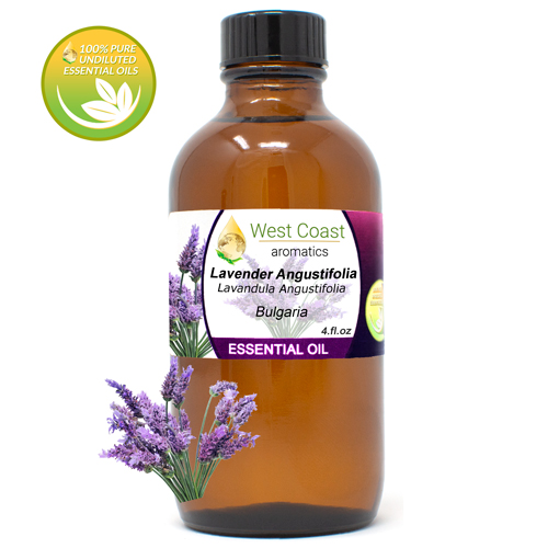 Lavender Angustifolia Premium (France)