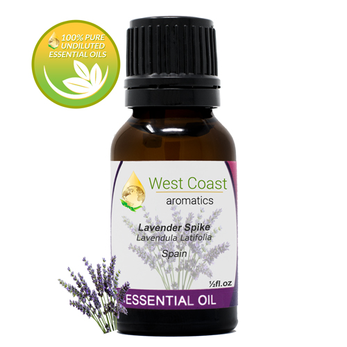Essential-Oil_Lavender-Spike_Spain_1-2oz.jpg