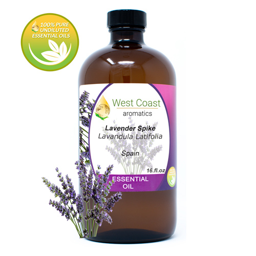 Essential-Oil_Lavender-Spike_Spain_16oz.jpg