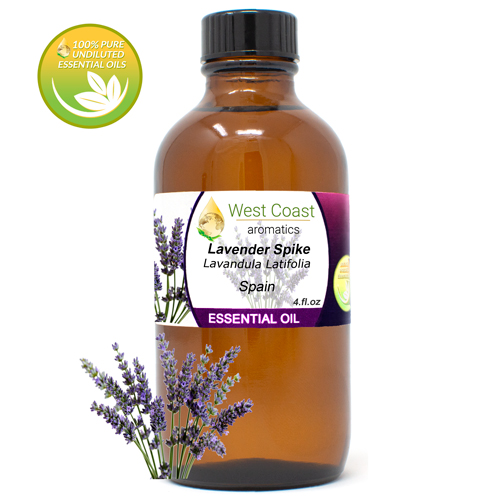 Essential-Oil_Lavender-Spike_Spain_4oz.jpg