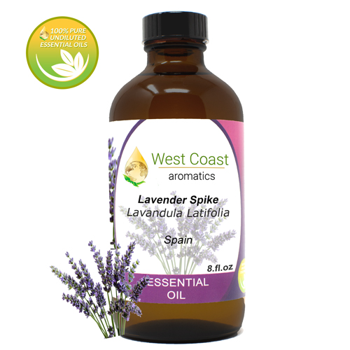 Essential-Oil_Lavender-Spike_Spain_8oz.jpg