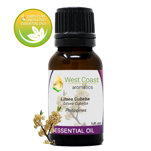 Essential-Oil_Litsea-Cubeba_Philippines_1-2oz.jpg