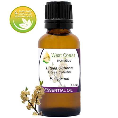 Essential-Oil_Litsea-Cubeba_Philippines_1oz.jpg