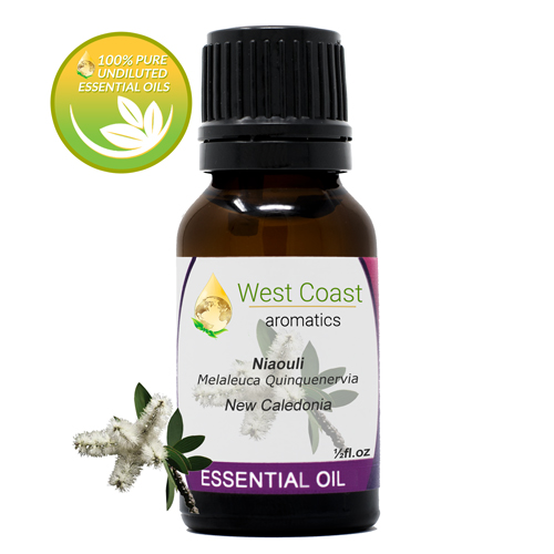 Essential-Oil_Niaouli_New-Caledonia_1-2oz.jpg