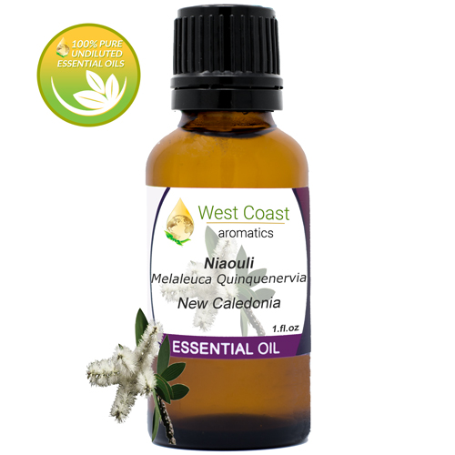 Essential-Oil_Niaouli_New-Caledonia_1oz.jpg