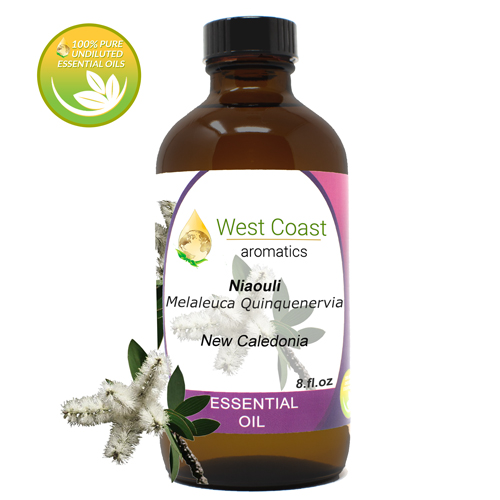 Essential-Oil_Niaouli_New-Caledonia_8oz.jpg