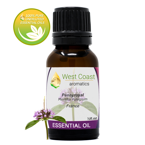 Essential-Oil_Pennyroyal_France_1-2oz.jpg