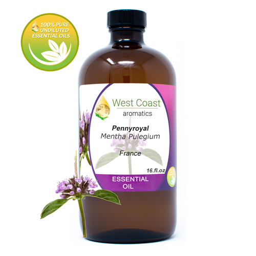 Essential-Oil_Pennyroyal_France_16oz.jpg