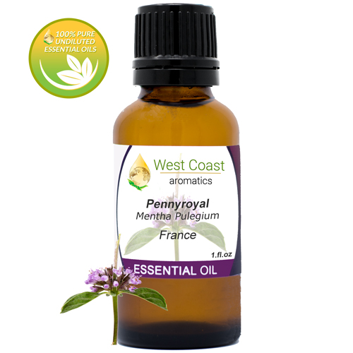 Essential-Oil_Pennyroyal_France_1oz.jpg