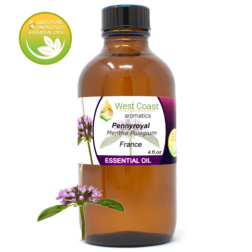 Essential-Oil_Pennyroyal_France_4oz.jpg