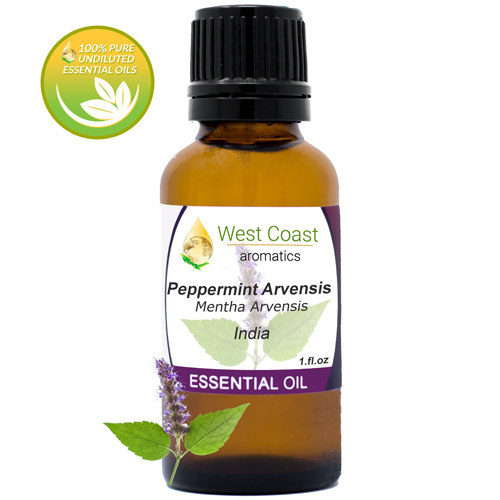 Essential-Oil_Peppermint-Arvensis_India_1oz.jpg